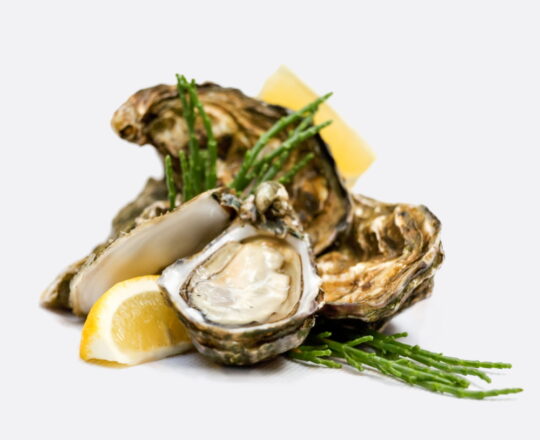 Oesters - Zeeuwse creuses