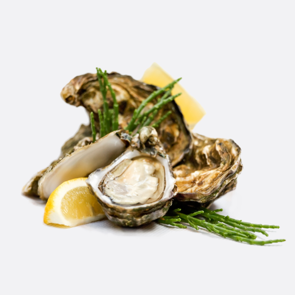 Oesters - Zeeuwse creuses