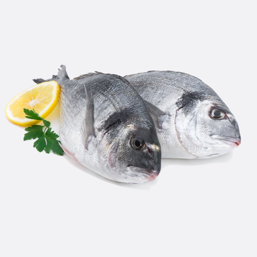 Dorade royale filet