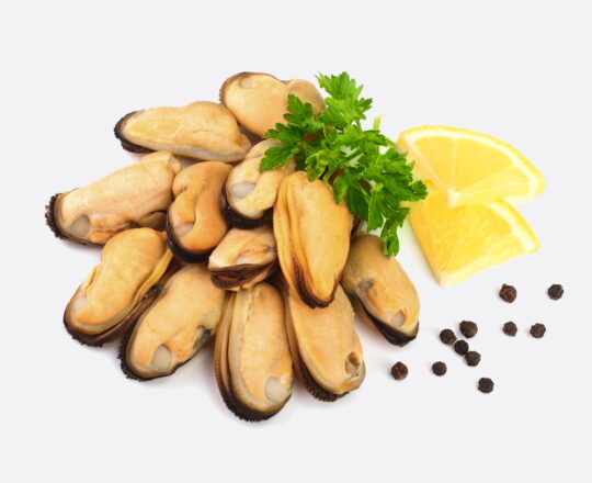 Gekookt mossel vlees