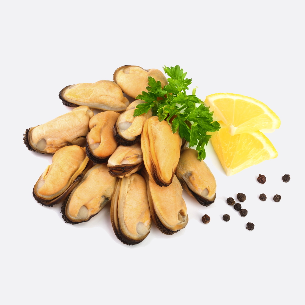 Gekookt mossel vlees