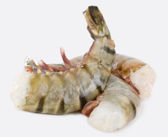 Scampi ongepeld 13/15