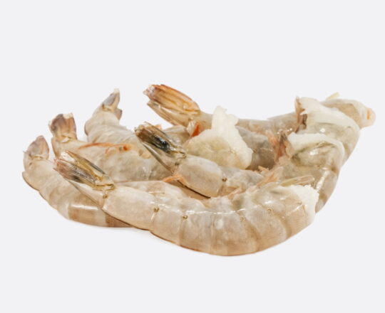 Scampi ongepeld 16/20