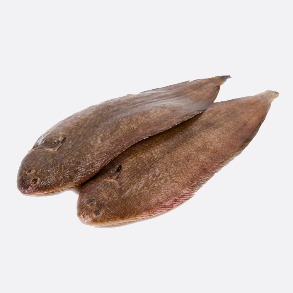 Sliptong
