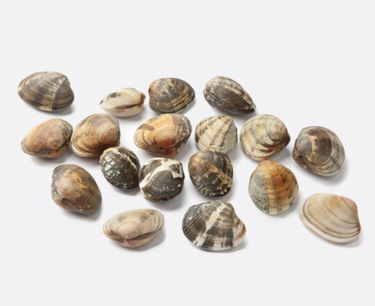 Vongole Veraci