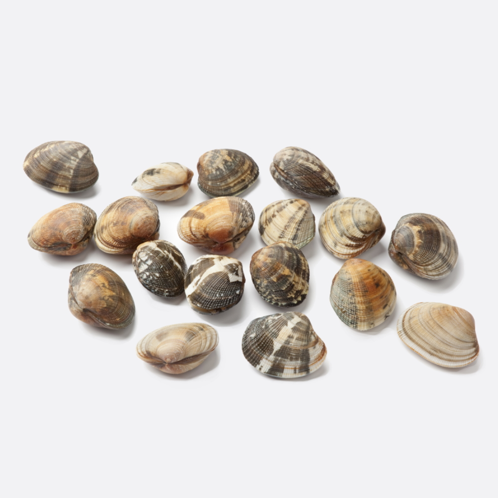 Vongole Veraci