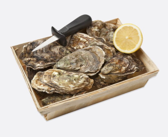 Zeeuwse creuses & oester mes