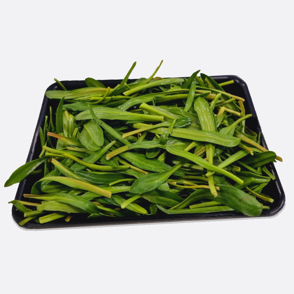 Lamsoren