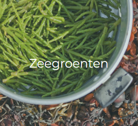 Zeegroenten